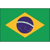Brazil Word Search Icon