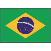 Brazil Word Search icon