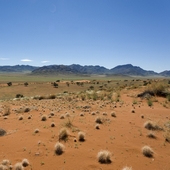 Deserts of the World Word Search Icon