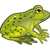 Frog Word Search Icon