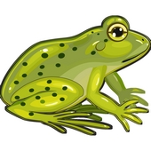 Frog Word Search icon