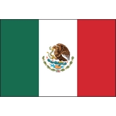 Mexico Word Search Icon
