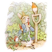 Peter Rabbit Word Search Icon