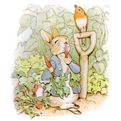 Peter Rabbit Word Search icon